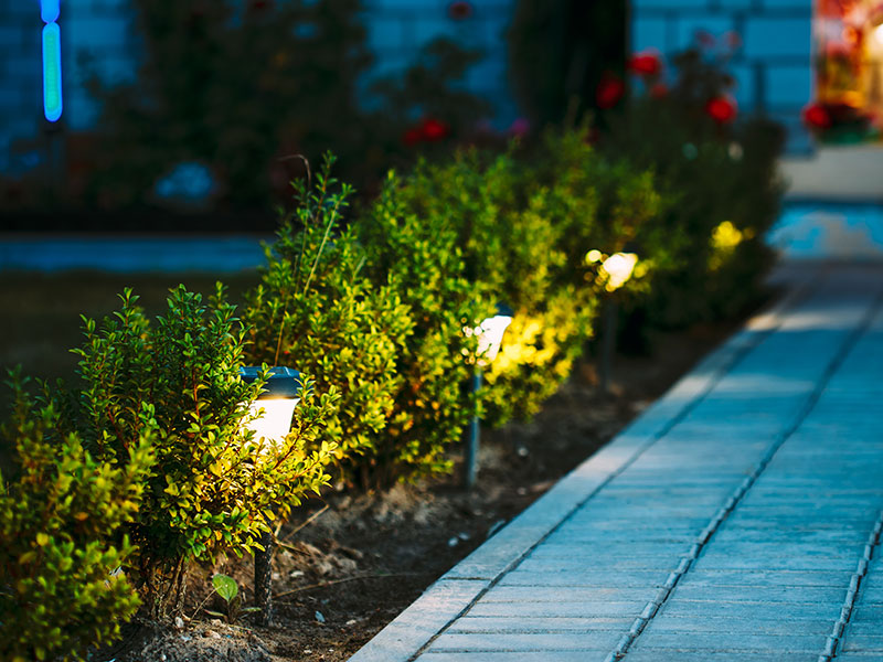 cj outdoor fence 01